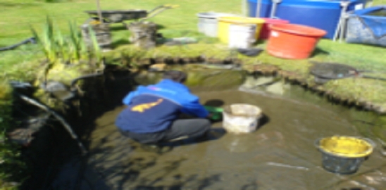 Pond Cleaning Northampton